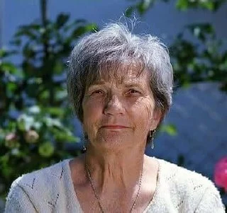 Nerve Fresh Review Anita